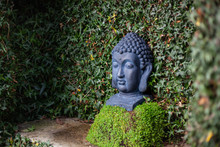 Closeup Black Stone Sculpture Of A Buddha Head In A Green Plant Niche In A Garden. Left View