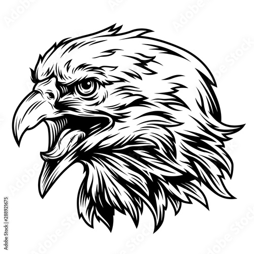 Vintage eagle head side view concept