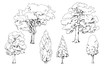 Tree collection illustration, drawing, engraving, ink, line art, outline vector, design.