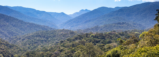 Poster - Paisagem de vale com floresta