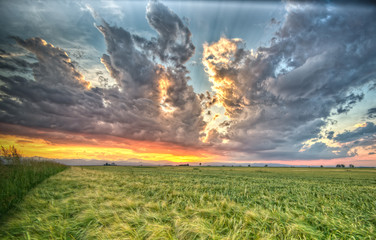 Wall Mural - Sunset with an exploding sky