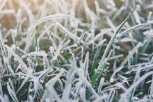Close Up Photo Of Frosty On Grass At The Garden In Morning, Selective Focus Of Ice Covering On Meadow In A Cold Morning On Winter