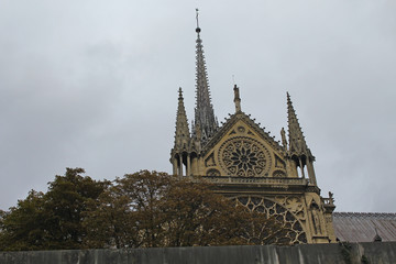 Canvas Print - Notre Dame - Paris