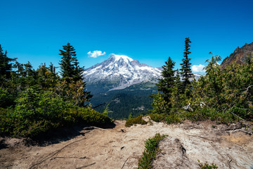 Wall Mural - Snow on the mountain