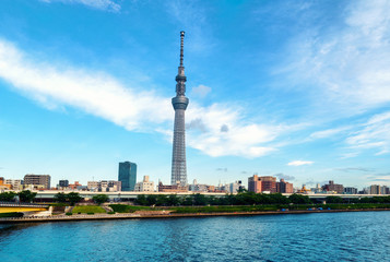 Wall Mural - Skyline in the evening, cloudy sky over urban area in Sumida, Tokyo, Japan