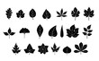 Vector Leaf Silhouettes Set