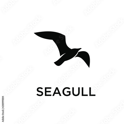 Cuadros en Lienzo seagull logo icon designs vector