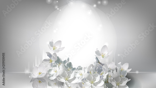 Cosmetic realistic silver vector poster with shining light in center and falling white jasmine flowers Poster Mural XXL