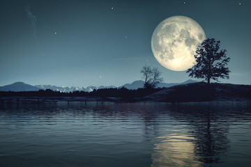 Wall Mural - moon and stars over dark scenery