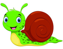 Vector Illustration Of Cute Snail Cartoon Isolated On White Background