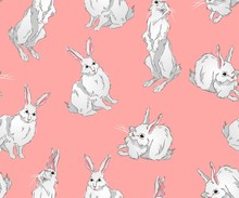 Patterns With Cute Fluffy Bunnies Standing Or Sitting
