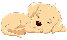 Vector Illustrator Of Cute Sleeping Dog Cartoon Isolated On White Background