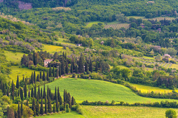 Wall Mural - Amazing landscape near Orvieto, Italy, region Umbria