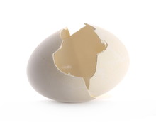 Cracked Eggshell Isolated On White Background