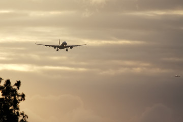 Wall Mural - air plane in sunset sky