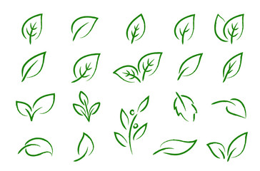 Wall Mural - green leaves branches icons eco set silhouettes