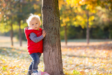 Wall Mural - Happy little child, baby boy, laughing and playing in the autumn on the nature walk outdoors.