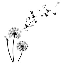 Silhouette Of A Dandelion With Flying Seeds. Black Contour Of A Dandelion. Black And White Illustration Of A Flower. Summer Plant.