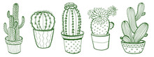 Hand Drawn Vector Cactus