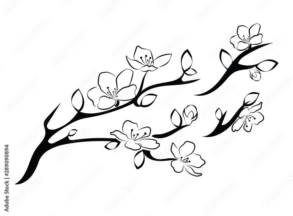 Cherry Blossom Tree Branch Black And White