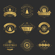 © provectors - Christmas sale labels and badges with text typographic decoration design vector vintage style set