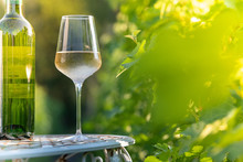 Glass Of Dry White Wine On Table In Vineyard
