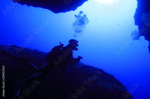 宮古島市下地島にあるダイビングスポットの海底洞窟の女王の部屋で泳ぐダイバー Stock Photo Adobe Stock 宮古島市下地島にあるダイビングスポットの海底洞窟の女王の部屋で泳ぐダイバー Stock Photo Adobe Stock