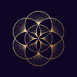© kovalto1 - Flower of life symbol. Gold geometric symbol. Vector illustration EPS 10