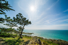 Atlantic Ocean Coastline With Turquoise Blue Water And Pine Trees On A Sunny Summer Day In Brittany France
