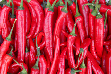 Wall Mural - red hot chili peppers for food texture