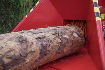 Electric wood shredder with wooden log used for garden mulching