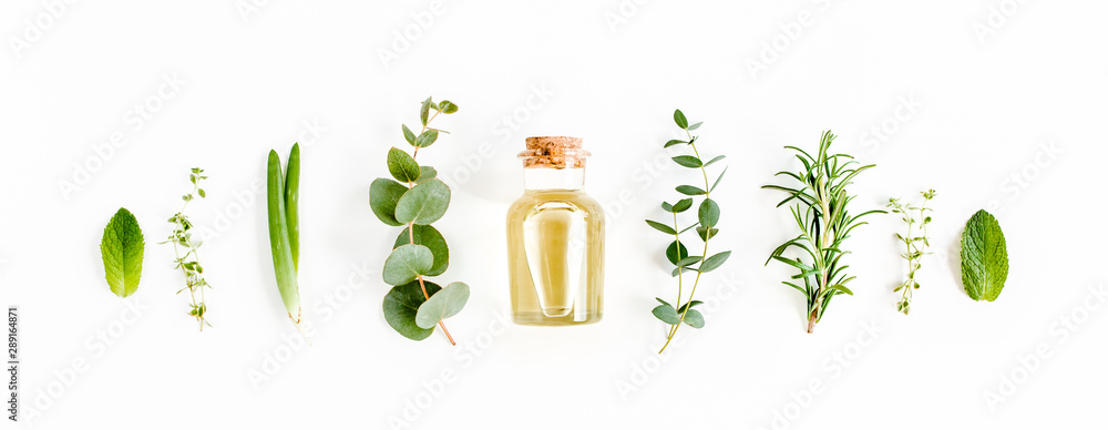 Essential oil and green branches, leaves eucalyptus on white background. Medicinal herbs. Flat lay. Top view. - obrazy, fototapety, plakaty 