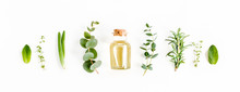 Essential Oil And Green Branches, Leaves Eucalyptus On White Background. Medicinal Herbs. Flat Lay. Top View.
