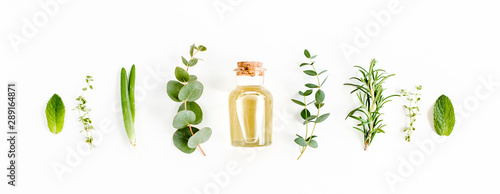 Cuadros en Lienzo Essential oil and green branches, leaves eucalyptus on white background