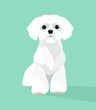 Cute white dog, flat design. Vector illustration.