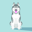 Husky, the cute dog sits, the northern breed of dogs. Flat design. Vector.