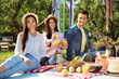© New Africa - Young people enjoying picnic in park on summer day