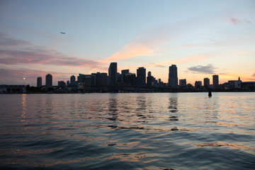 Poster - the downtown Miami skyline