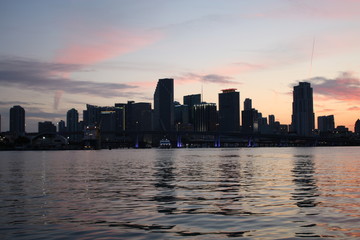 Wall Mural - the downtown Miami skyline