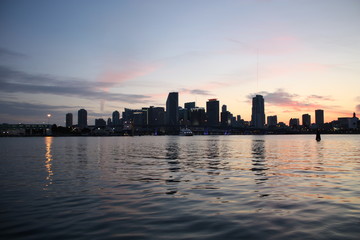 Poster - the downtown Miami skyline