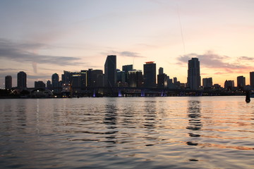 Wall Mural - the downtown Miami skyline