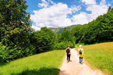 Wall Mural - Backpackers hiking and Scenery of Bohinj Lake in Slovenia