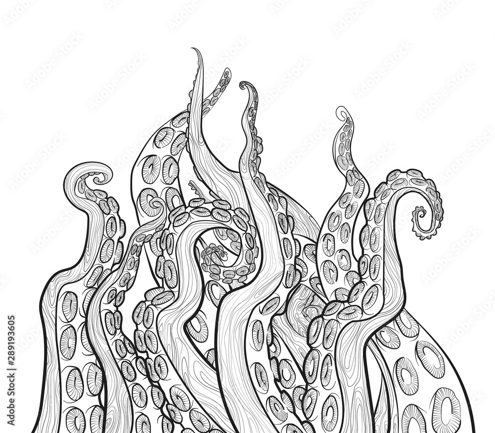 Vector hand draw line work with octopus tentacles in black and white ...