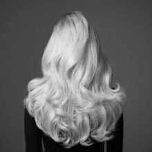 Gorgeous Blonde Hair. Rear View.  Monochrome Image.