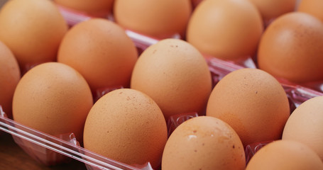 Poster - Pack of the chicken egg in rotation