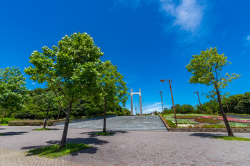 木場公園の風景 吊り橋と階段