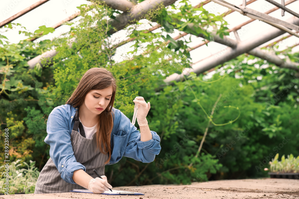 Female agricultural engineer working in greenhouse