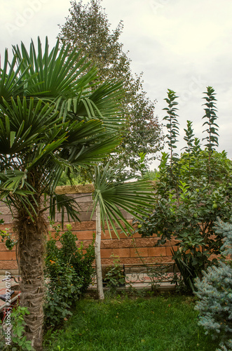 A Corner Of A Small Garden In The Patio Is Fenced With An Iron