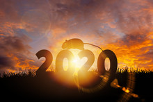 Silhouette Of Rat With Text 2020 Year During Golden Sunrise Or Sunset With Copy Space. Image For Happy New Year 2020 Concept.
