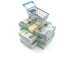 Wall Mural - Shopping cart on stack of money